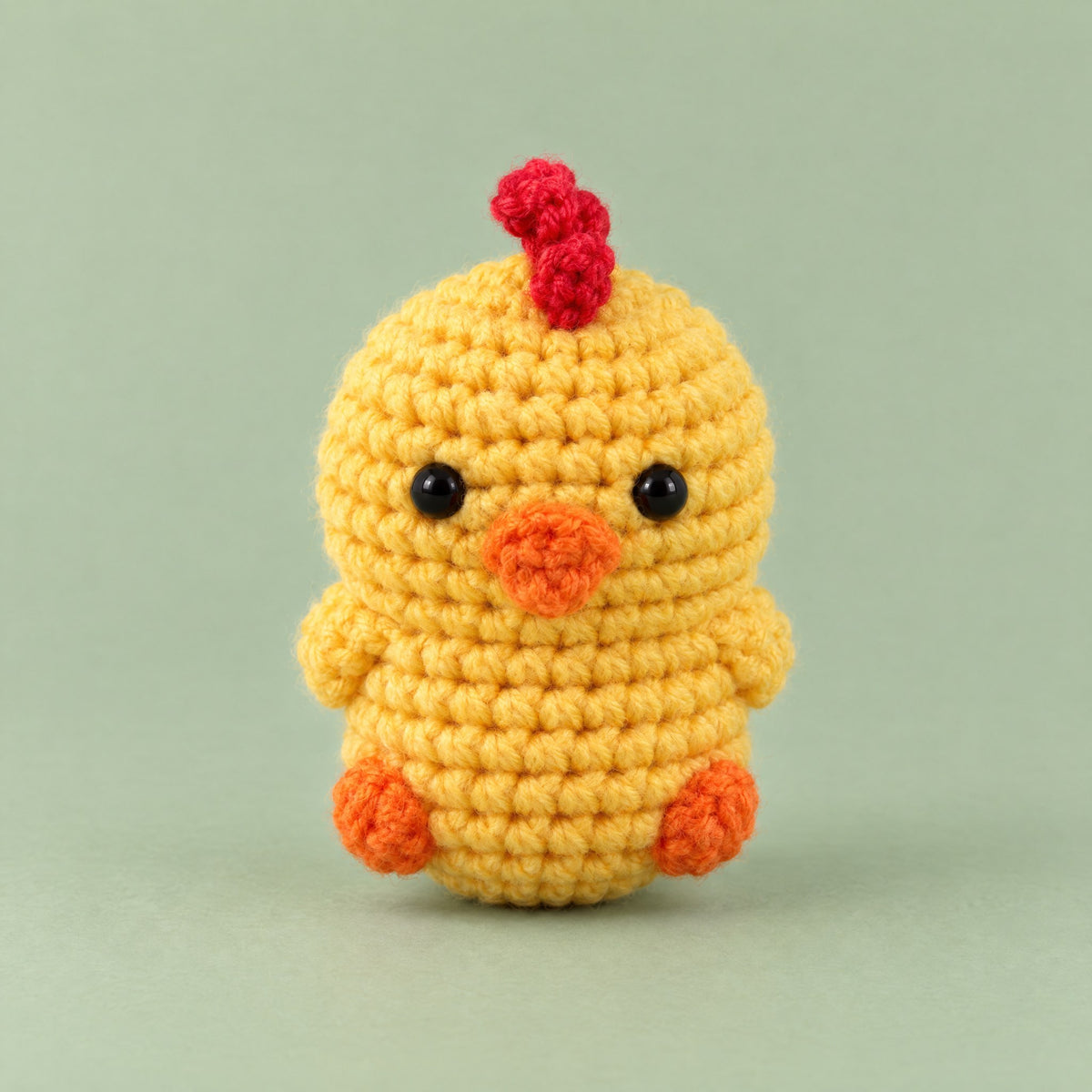 Pipou le poussin, vu de face