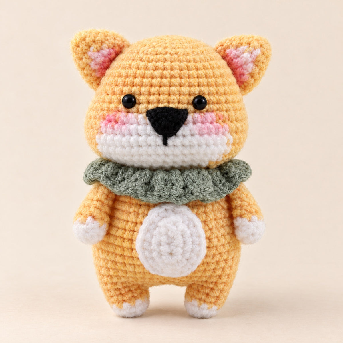 Le shiba, de face