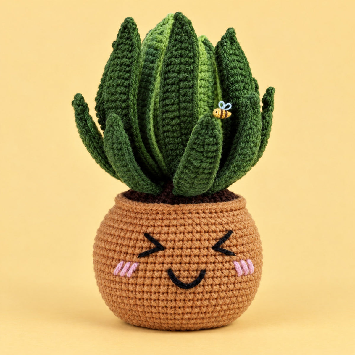 La plante grasse, de face