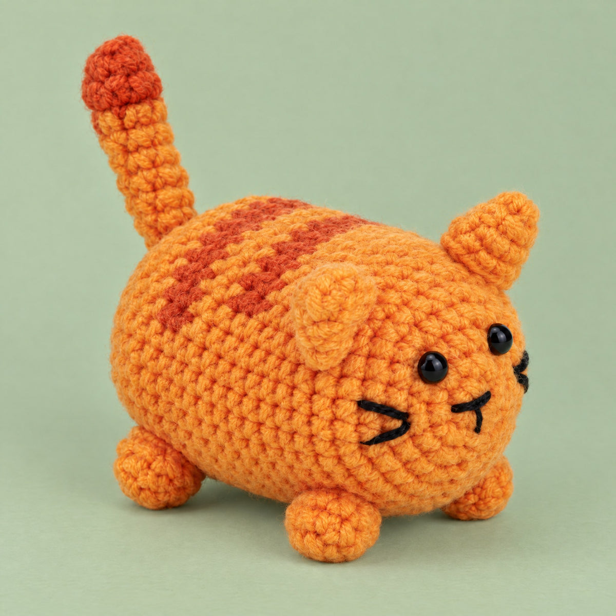 Le chat roux, de face